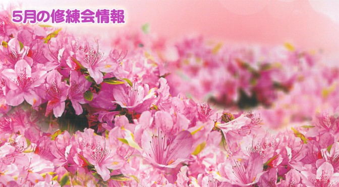 2014年5月の修練会情報