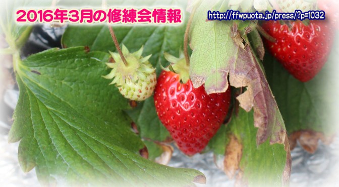 2016年3月の修練会情報