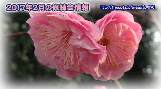 2017年2月の修練会情報