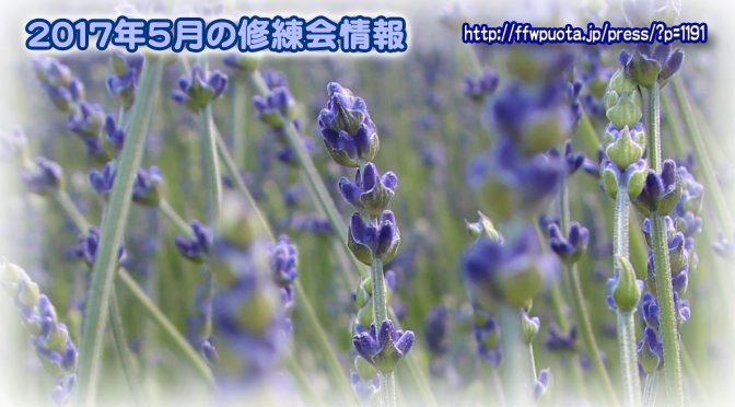 2017年5月の修練会情報