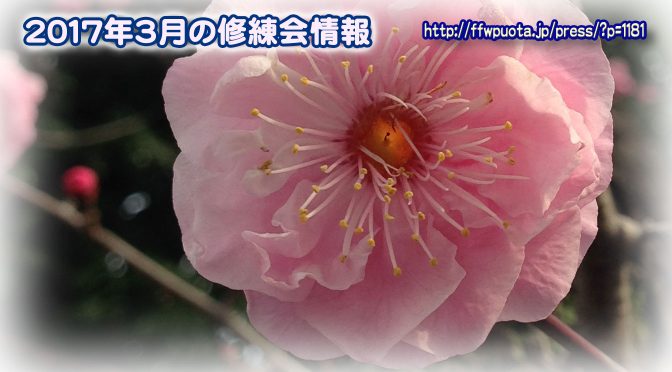2017年3月の修練会情報
