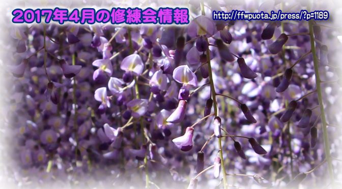 2017年4月の修練会情報