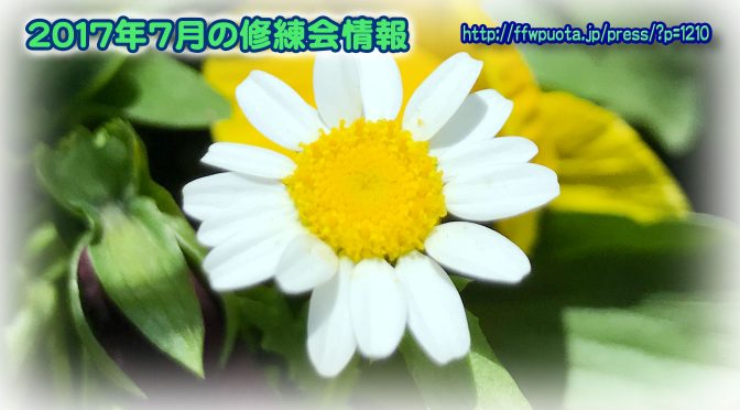 2017年7月の修練会情報